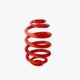 Body Spring